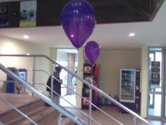 Women's Day decorations at Galatasaray University
