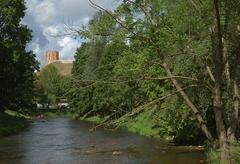 Vilnius River Vilnia with painted plywood flamingos during summer 2014