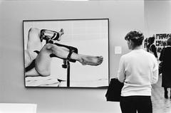 Woman viewing the painting 'Baas in eigen buik' by Maina-Miriam Munsky in Haags Gemeentemuseum