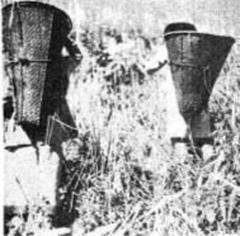Baskets on the back of Lushai cultivators holding harvested crops
