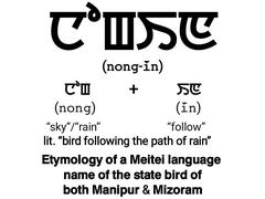 Etymology of Nongin, the Classical Meitei language term for the state bird of Manipur and Mizoram