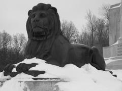 Lion standing on snowy rock in Mount Royal park during winter