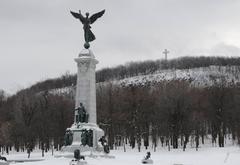 Scenic view of Mont-Royal with lush greenery and urban surroundings