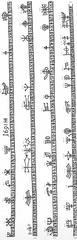 Sami Runic calendar made of wood at Uppsala University Gustavianum, 68 cm long and 3.2 cm wide with 364 day runes from January 1 to December 30.