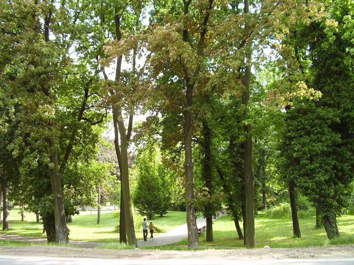 Sad Janka Kráľa park in Petržalka with trees and pathways
