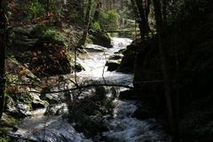 Geroldsau Waterfall with high water flow after heavy rainfall on March 13, 2020