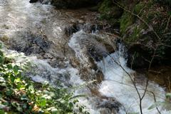 Geroldsau Waterfall after heavy rains on March 13, 2020