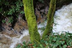 Geroldsau Waterfall after heavy rain on March 13, 2020