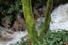 Geroldsauer Waterfall flowing powerfully after heavy rain