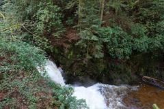 Geroldsau Waterfall in spring flow after heavy rain on March 13, 2020