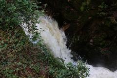 Geroldsau Waterfall after heavy rain on March 13, 2020