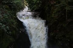 Geroldsau Waterfall after heavy rainfall on March 13, 2020