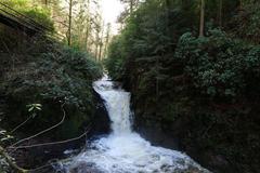 Geroldsau Waterfall cascading with increased flow after recent heavy rainfall