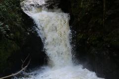 Geroldsau Waterfall flowing strongly after heavy rainfall in March 2020