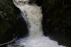Geroldsau Waterfall flowing with increased water volume after heavy rains