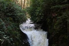 Geroldsau Waterfall cascading with increased water flow after heavy rain on March 13, 2020