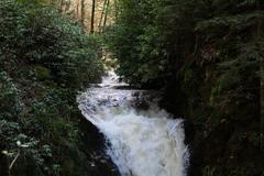 Geroldsau Waterfall after heavy rainfall on March 13, 2020