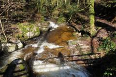 Geroldsau Waterfall after heavy rain