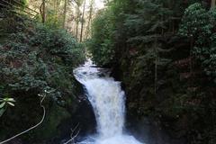 Geroldsau Waterfall after heavy rain on March 13, 2020