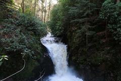 Geroldsau Waterfall after heavy rainfall in March 2020