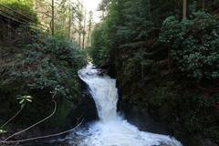 Geroldsau Waterfall flowing strongly after prolonged rainfall on March 13, 2020