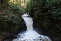 Geroldsau Waterfall after heavy rainfall on March 13, 2020