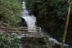 Geroldsau Waterfall after heavy rains on March 13, 2020