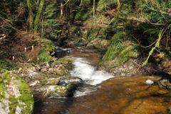 Geroldsau Waterfall in spring after heavy rains with lush greenery