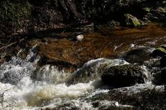Geroldsau Waterfall after heavy rain on March 13, 2020 with lush green surroundings and flowing water