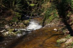 Geroldsauer Waterfall cascading with full flow after heavy rain on March 13, 2020