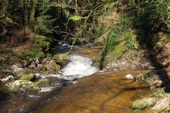 Geroldsau Waterfall flowing heavily after extended rainfall on March 13, 2020