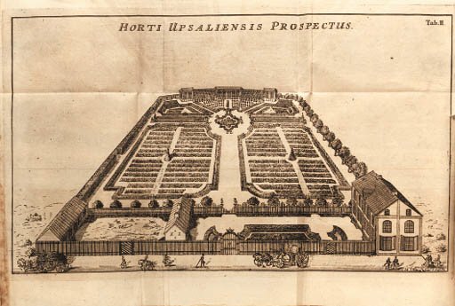 Set of Linnaeus' dissertations laid out on a green surface