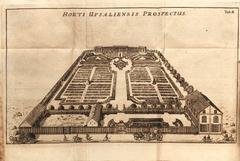 Set of Linnaeus' dissertations laid out on a green surface