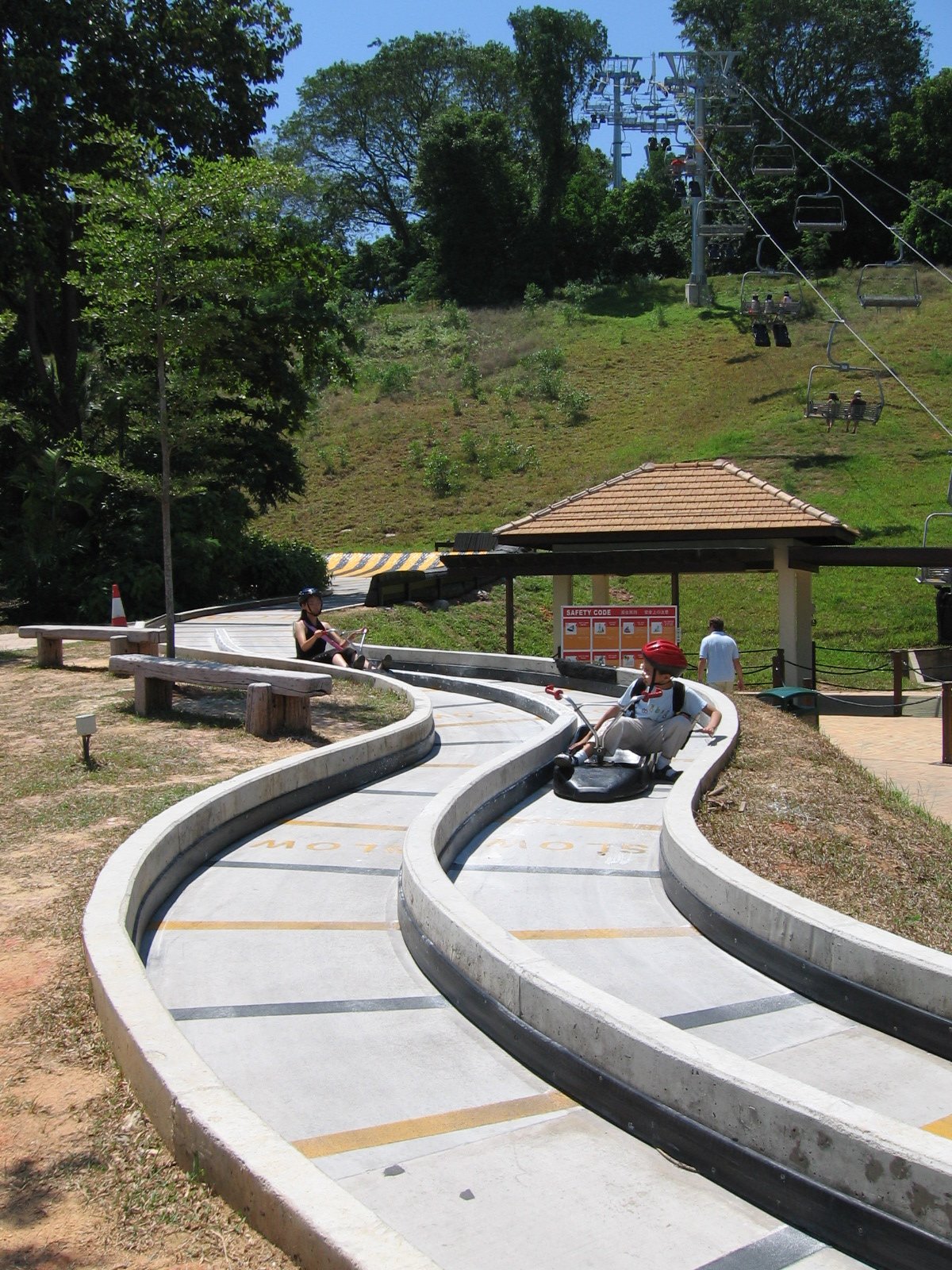 People enjoying rides on the Sentosa Luge track amid tropical greenery in Sentosa