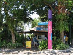 Sentosa Luge