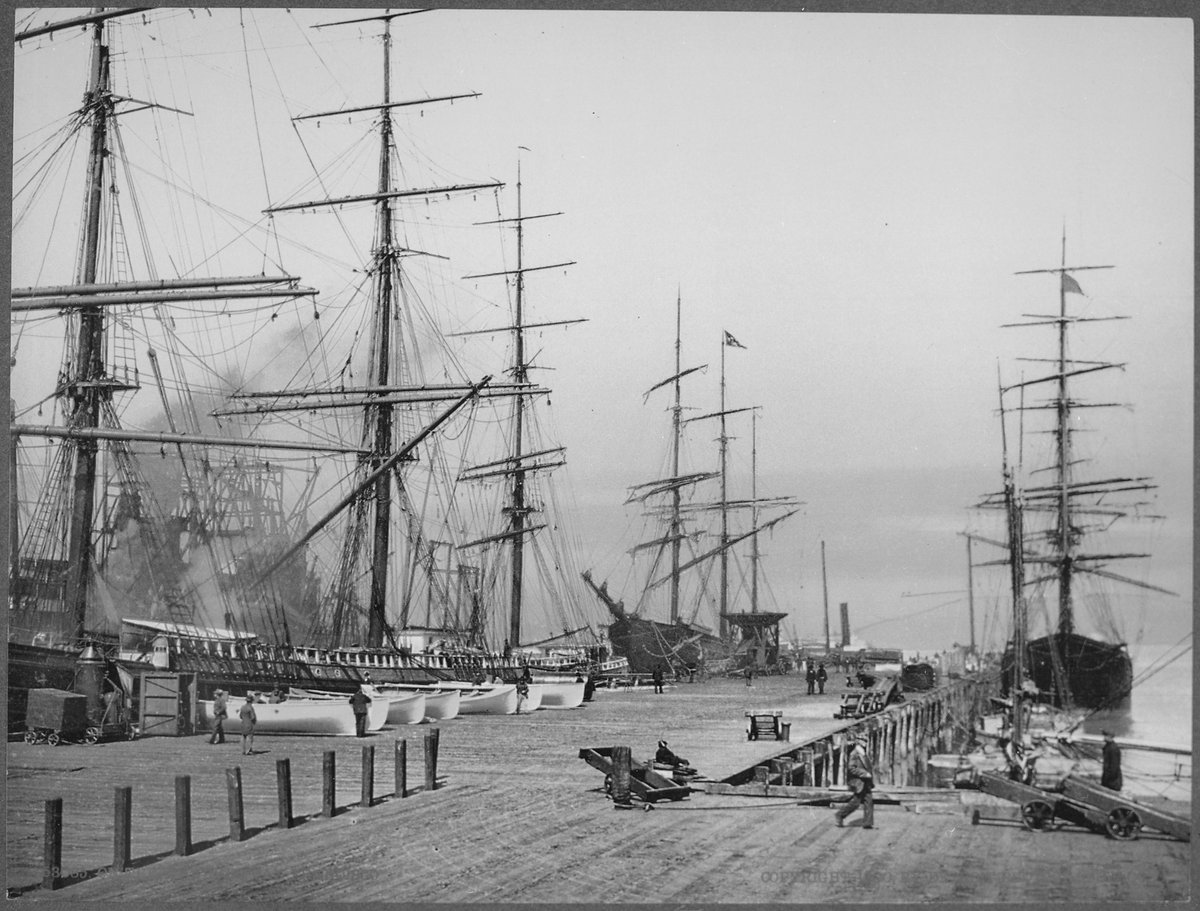 Moored schooners' masts forming a wall around the dock in San Francisco in 1900