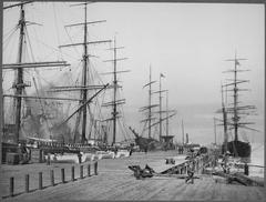 Moored schooners' masts forming a wall around the dock in San Francisco in 1900