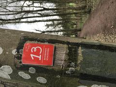 Scenic view of Bensberger Schlossweg trail with forest and path