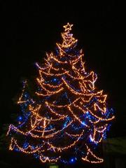 Christmas tree at Meiji Gakuin Yokohama campus