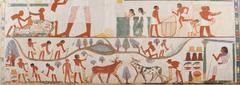East Wall South Side of Nakht's Offering Chapel with Agriculture Motifs
