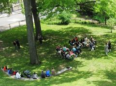 People enjoying Caribbean Day music event under a large tree at Hamilton Grange