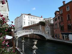 |
  Ca' Foscari University Of Venice