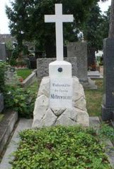 Gravestone of Friedrich Mitterwurzer at Grinzinger Friedhof cemetery