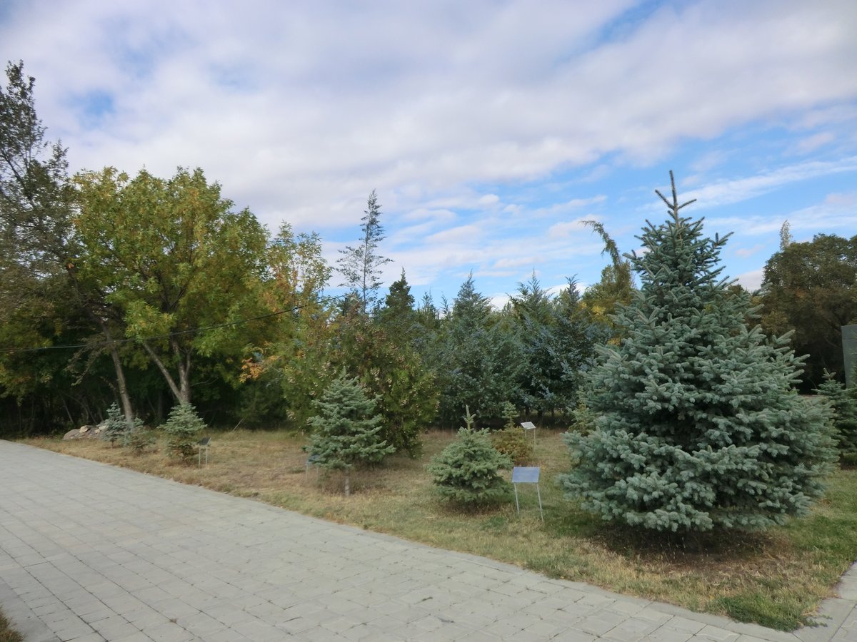 Trees planted by personalities at Tsitsernakaberd Memorial