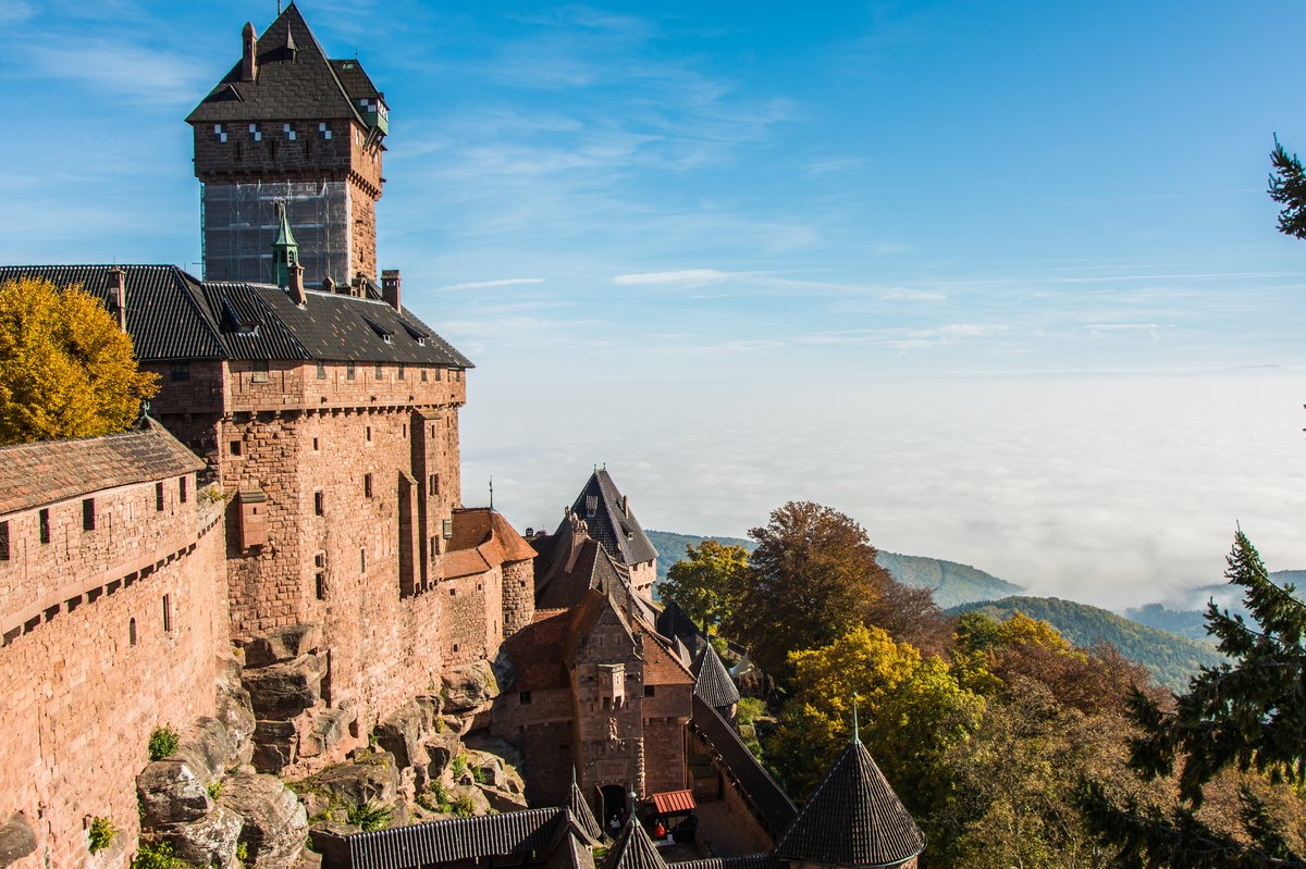 Medieval Haut-Koenigsbourg Castle on a hill surrounded by forest