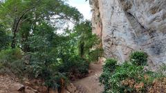 Path from shelter and jungle stairs leading to rock paintings, with dense vegetation and mosquitoes