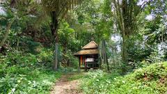 Small shelter at base of stairs leading to paintings in a jungle area