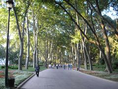 View of Gülhane Park with trees and people walking in Istanbul