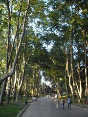 Gülhane Park in Istanbul with trees and walking paths