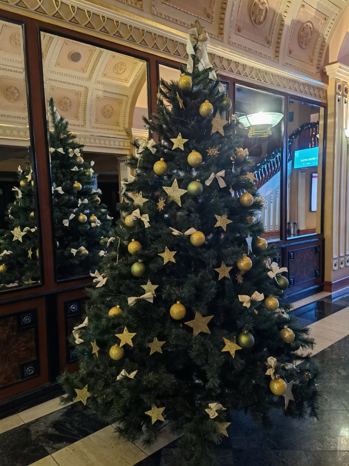Christmas tree in front of Thália Színház theater on Nagymező utca 22-24 in Budapest